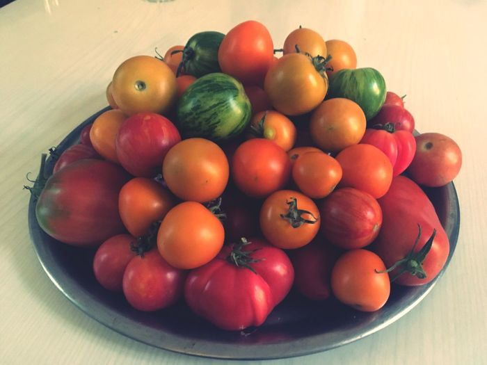 High angle view of tomatoes in bowl on table