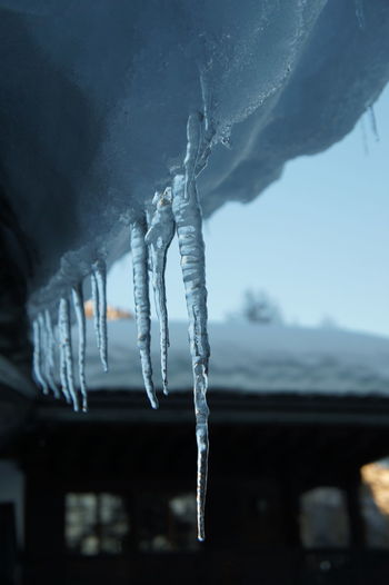 Close-up of icicles hanging on snow