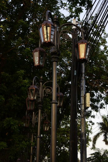 Low angle view of street light in park