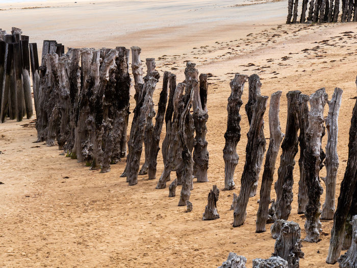 Panoramic view of wooden posts on beach