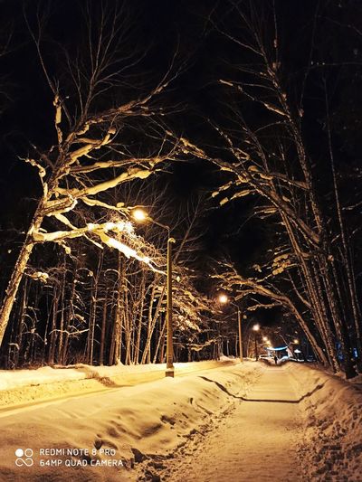 Illuminated street lights in winter at night
