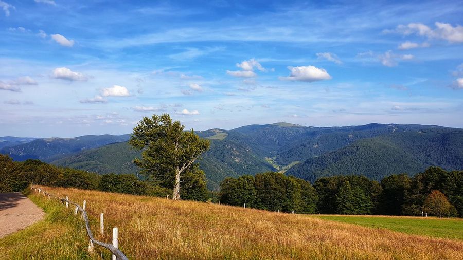 Scenic view of landscape against sky