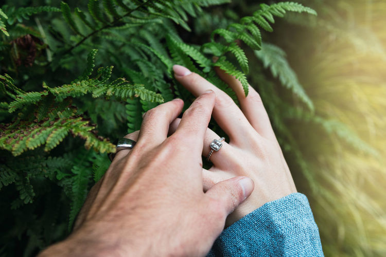Man and woman hands touching a plant in a forest, showing love for nature and environment of earth.