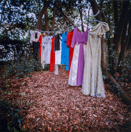 Clothes drying on clothesline by trees in forest