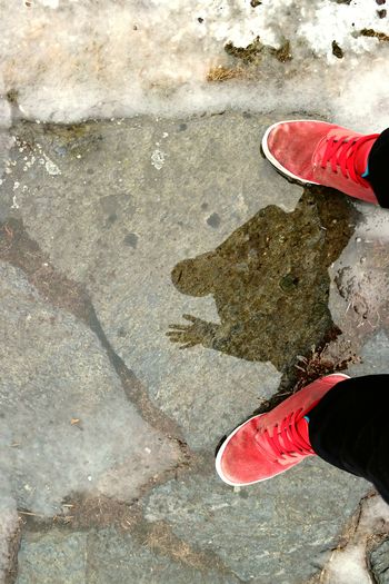 Low section of person standing on ground