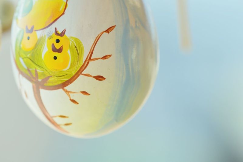 Close-up of beautiful design on animal egg