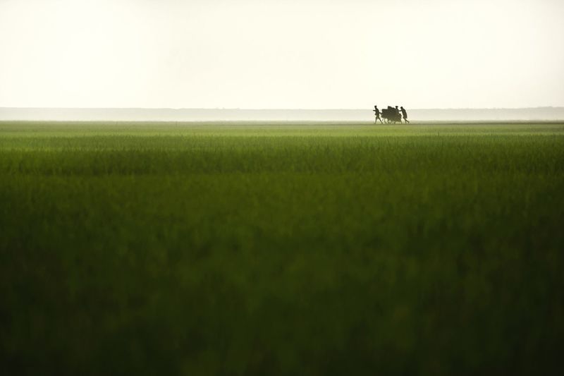Silhouette people pushing push cart on agricultural field