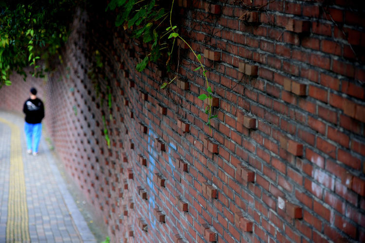 Rear view of man walking on wall of building