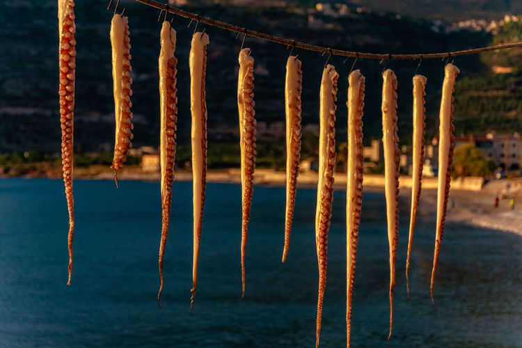 Close-up of rusty metal hanging over river
