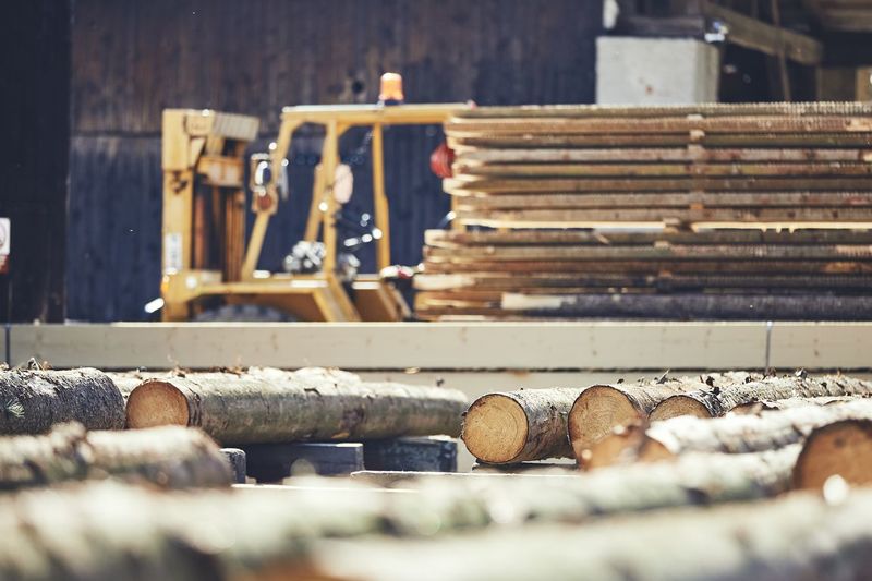 Logs at factory