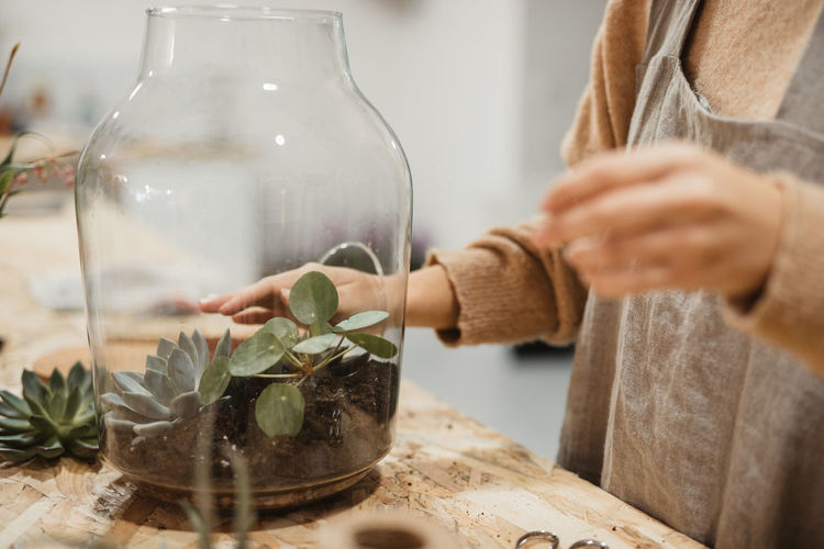 High angle of tranquil adult woman in casual clothes and gray apron planting small green succulents into glass terrarium while standing at table in contemporary light apartment