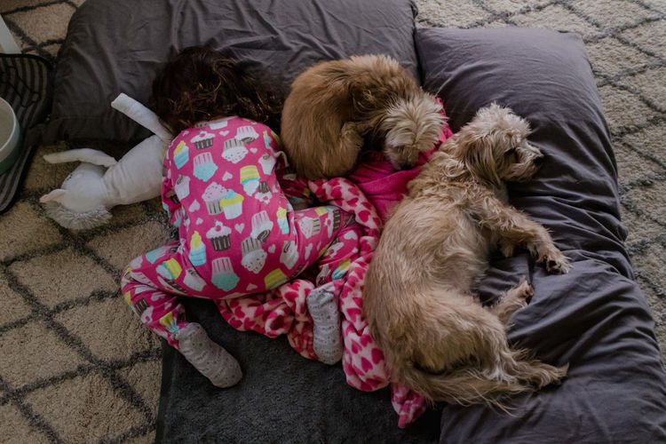 Toddler girl and two small dogs sleeping on the floor