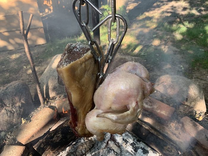 High angle view of meat on tree