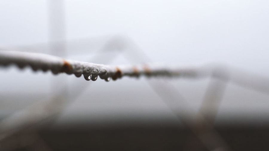 Close-up of raindrops on snow