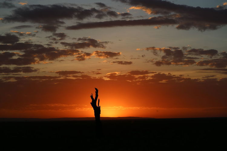 Silhouette people standing on field against dramatic sky