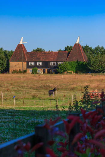 View of a house in a field