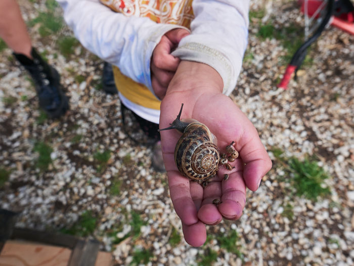 Little girl holding a snail