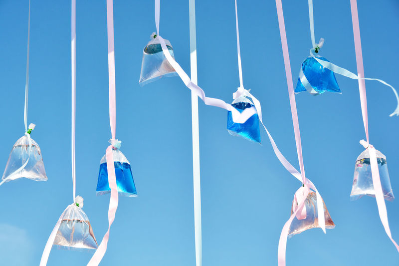 Colorful water in plastic bags with ribbons on the blue sky