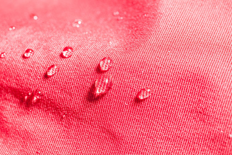 Close-up of water drops on pink cloth