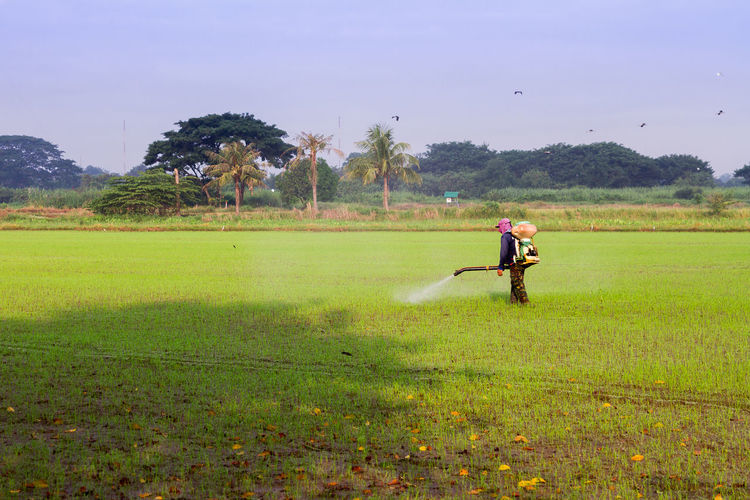Farmer spraying fertilizer on field against sky