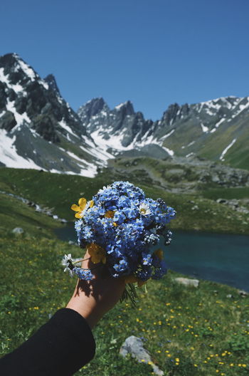 Cropped image of hand holding flowers against mountains