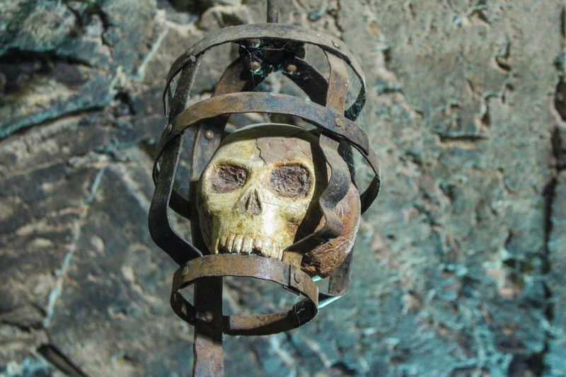 Close-up of skeleton on helmet