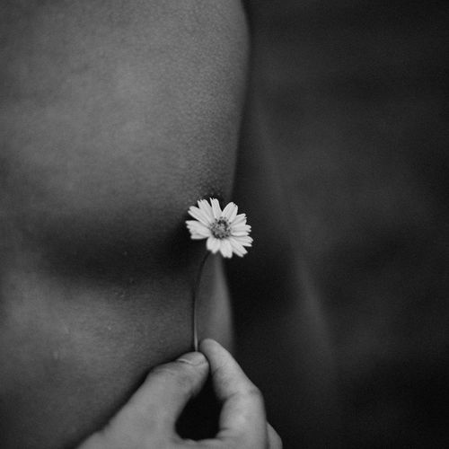 Close-up of man holding flower 