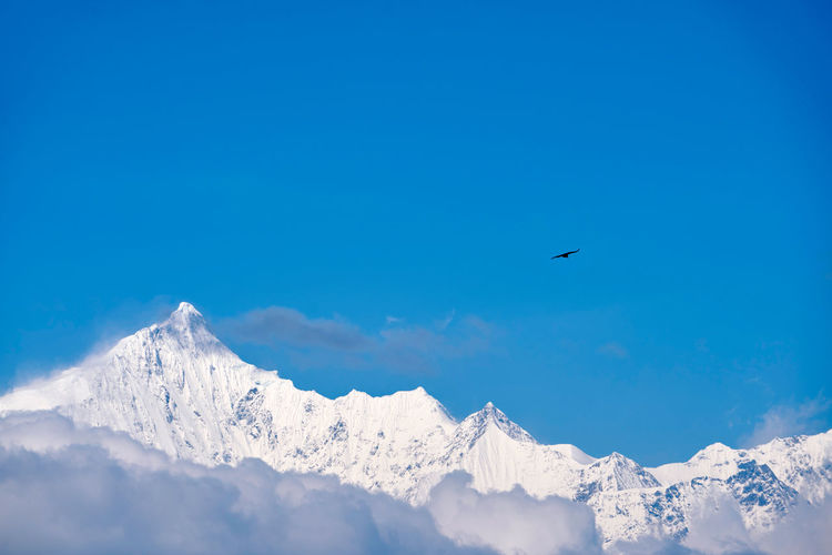 Bird flying over snowcapped mountains against blue sky
