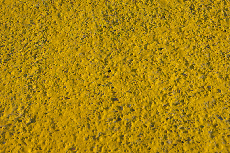Full frame shot of yellow flower on field