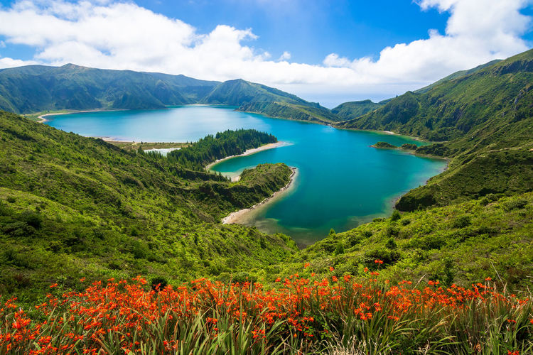 View of turquoise water of lagoa do fogo, flowers in foreground in sao miguel island, azores