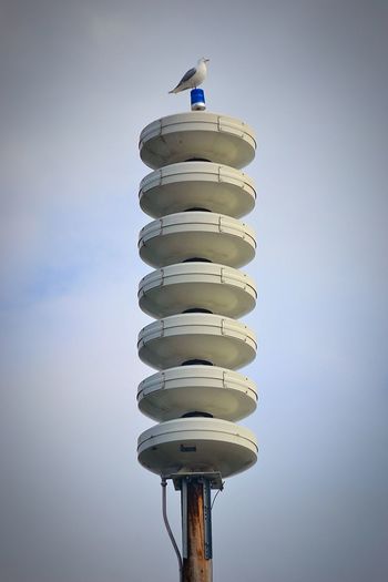 Low angle view of seagull perching on siren tower against sky