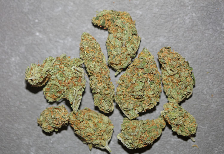 Medical marihuana buds close up background cannabis sativa super lemon haze big size high quality