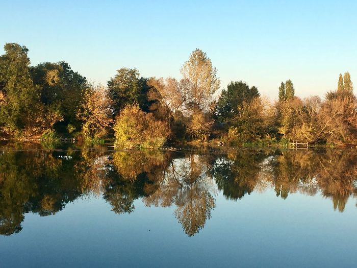 Reflection of trees in lake against sky during autumn