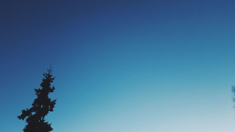 Low angle view of trees against clear blue sky