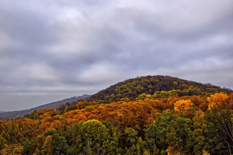 Scenic view of tree mountain against sky during autumn