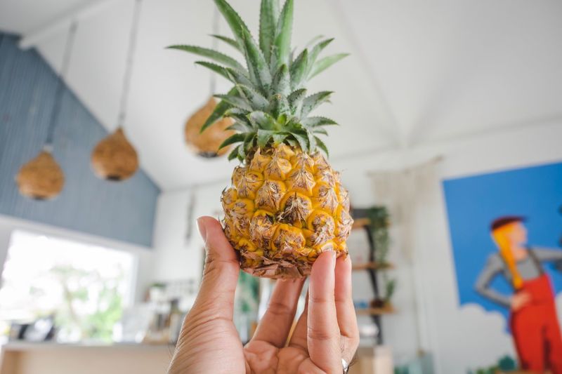 Cropped hand of person holding pineapple at home
