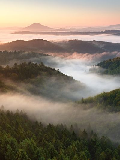 Autumn sunrise above above forest, fall colorful valley full of dense mist colored with hot sun rays