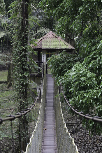 Hanging bridge in the garden vertical view
