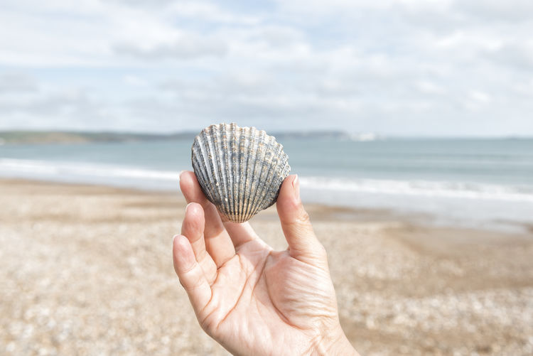 Close-up of hand holding seashell against sky