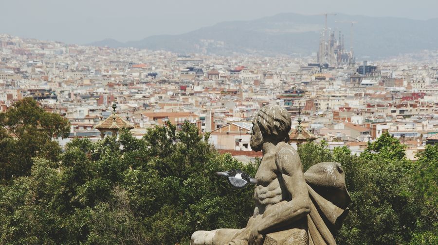Pigeon flying near statue by sagrada familia in town