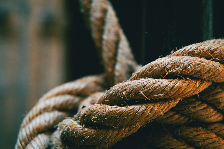 Close-up of rope tied to pole