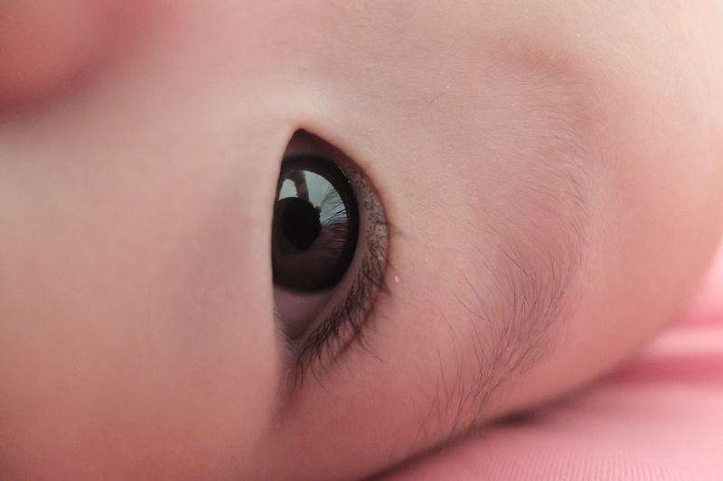 Close-up of baby's eye