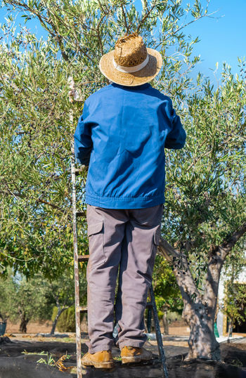 Rear view of man standing against trees