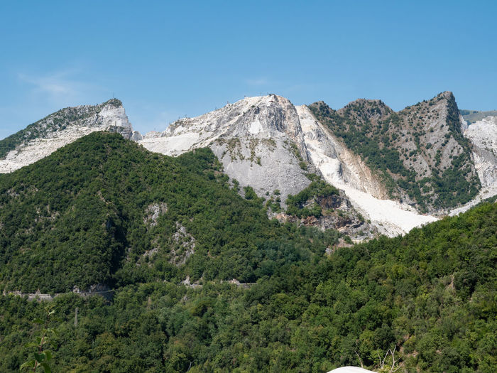 View of a mountainside in carrara in summer time with rocks covered by vegetation and trees.