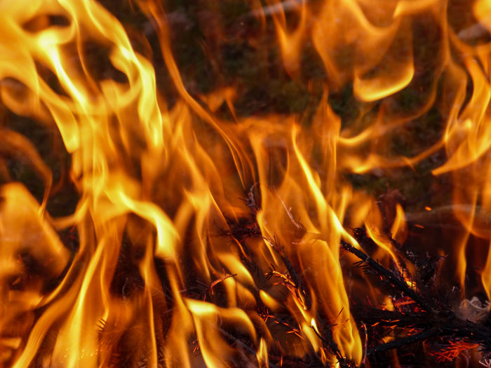 Close-up of fire