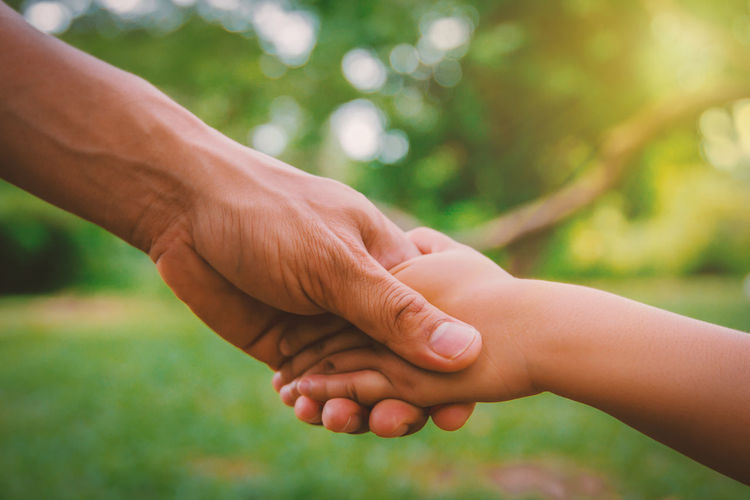 Cropped image of mother and child holding hands in park
