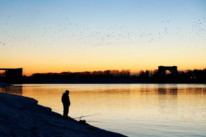 Silhouette of birds flying over lake