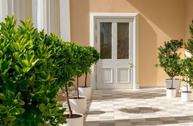 The entrance to the building is decorated with floor tiles, citrus trees in flower pots and columns. 