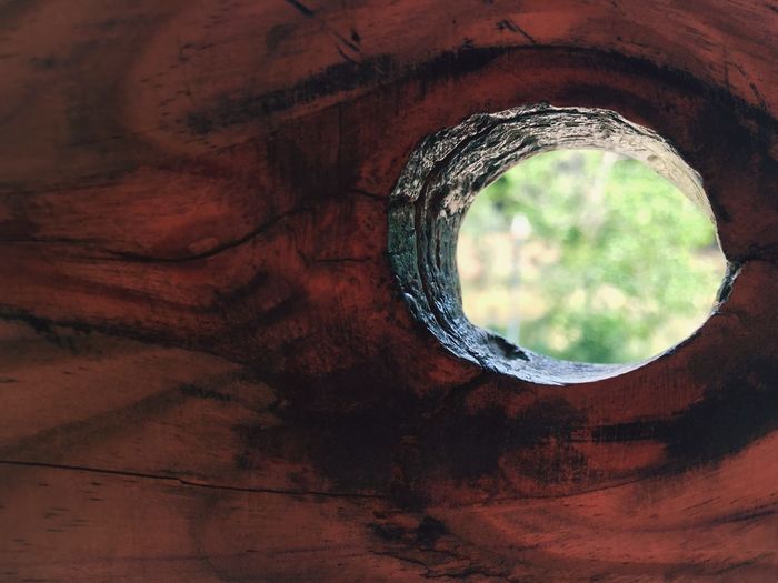 Hole in wooden wall