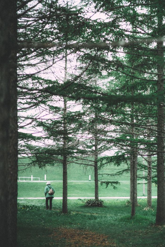 REAR VIEW OF WOMAN IN PARK WITH TREES IN BACKGROUND